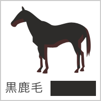 キングパッションの競走馬情報 ：楽天競馬