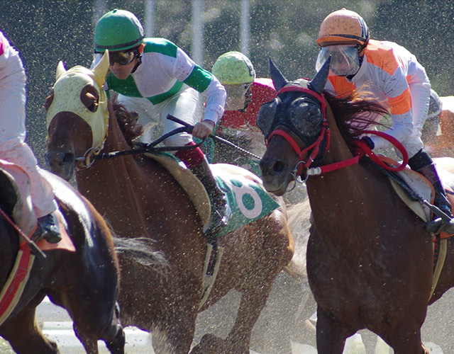 楽天競馬：初めてご利用の方に