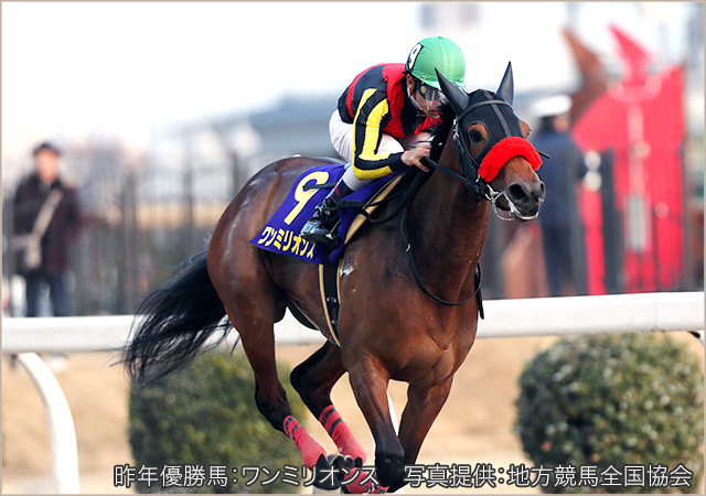 昨年の優勝馬ワンミリオンス号