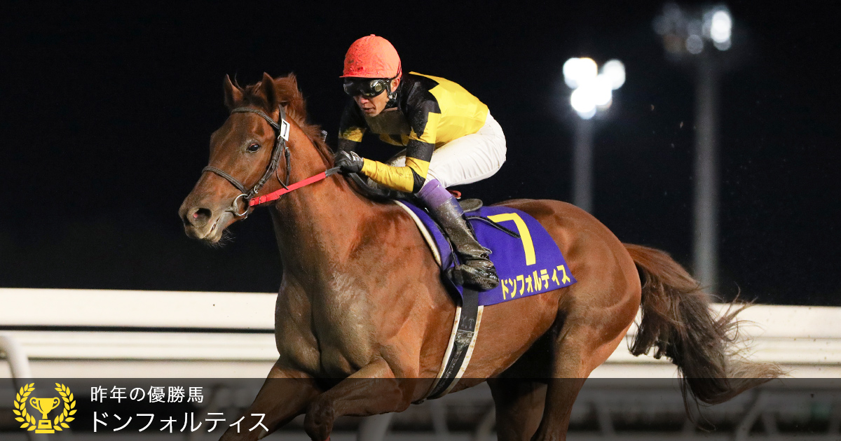 ダートグレード競走 北海道2歳優駿 Jpniii おトク情報 楽天競馬