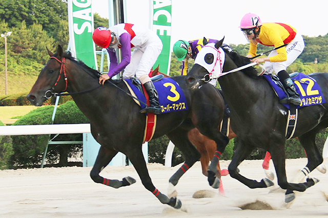 昨年の優勝馬スーパーマックス