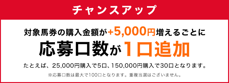 +5,000円購入ごとにチャンスアップ！