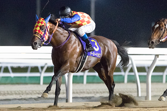 昨年の優勝馬テーオーヘリオス