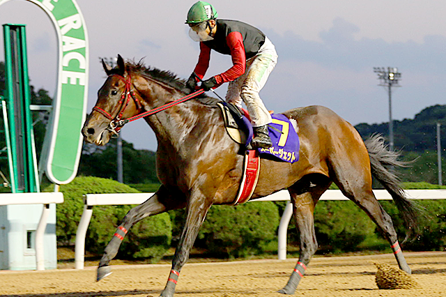 昨年の優勝馬スーパージェット