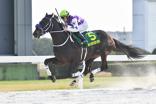 昨年の優勝馬サンライズソア