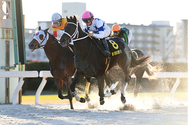 昨年の優勝馬チュウワウィザード