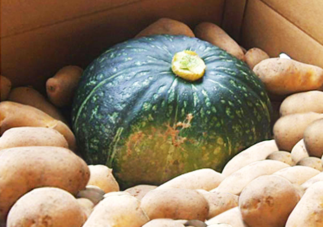 北海道むかわ町産「野菜詰合せ（馬鈴薯・南瓜）」1箱（約10kg）