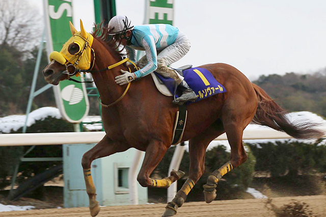 昨年の優勝馬ルールソヴァール