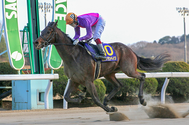 昨年の優勝馬カシノランペイジ