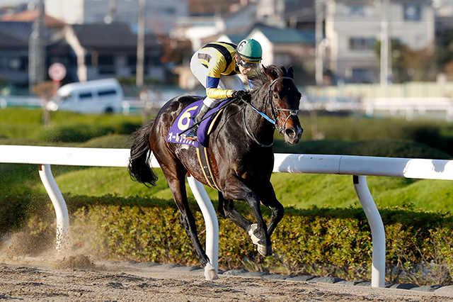 ダートグレード競走 浦和記念 Jpnii 19 おトク情報 楽天競馬