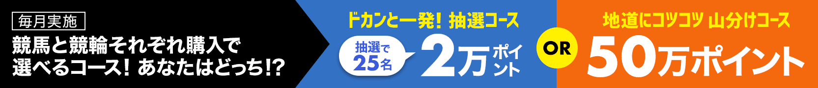 各500円以上購入＆条件達成で選べるコース！「ドカンと一発抽選コース！2万ポイント25名様」「地道にコツコツ山分けコース！50万ポイント山分け」