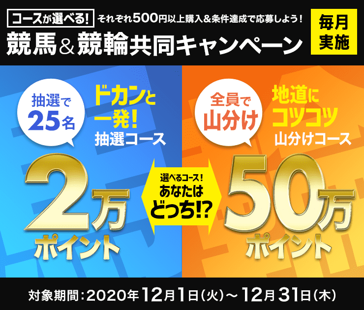 各500円以上購入＆条件達成で選べるコース！「ドカンと一発抽選コース！2万ポイント25名様」「地道にコツコツ山分けコース！50万ポイント山分け」