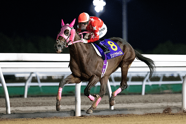 昨年の優勝馬リンゾウチャネル