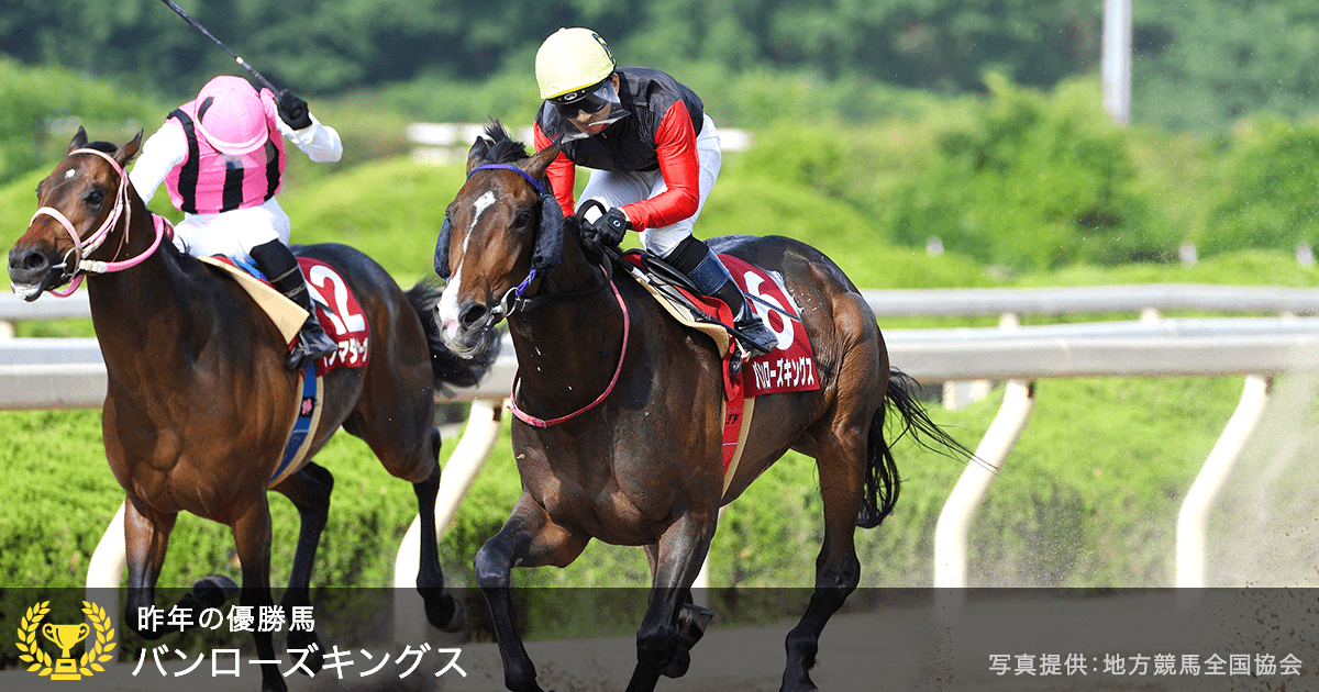 園田重賞 兵庫ダービー 特集ページ おトク情報 楽天競馬