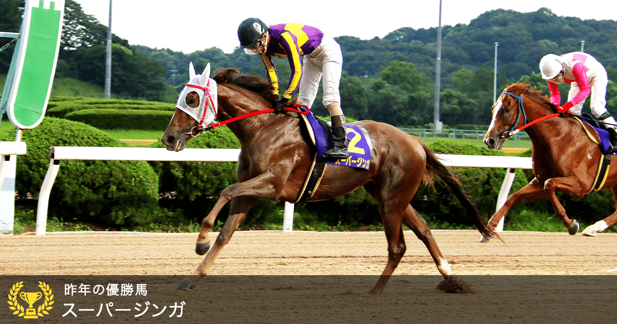 佐賀重賞 ロータスクラウン賞 特集ページ おトク情報 楽天競馬