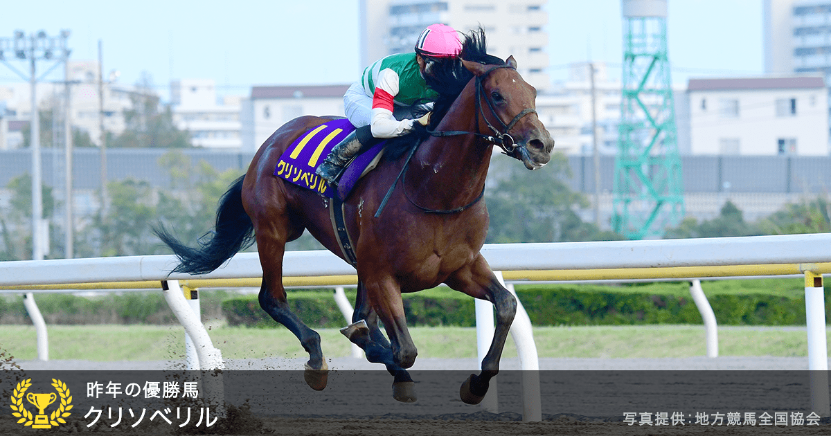 ダートグレード競走 日本テレビ盃 Jpnii おトク情報 楽天競馬 ダートグレード競走 日本テレビ盃 Jpnii おトク情報 楽天競馬