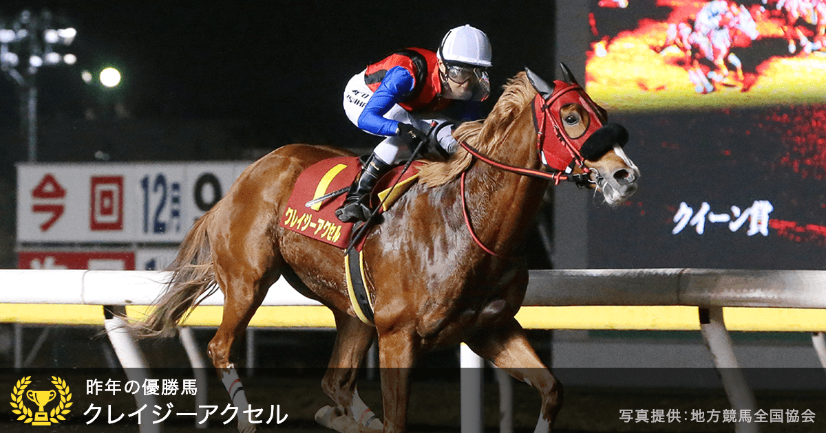 ダートグレード競走 クイーン賞 Jpniii おトク情報 楽天競馬