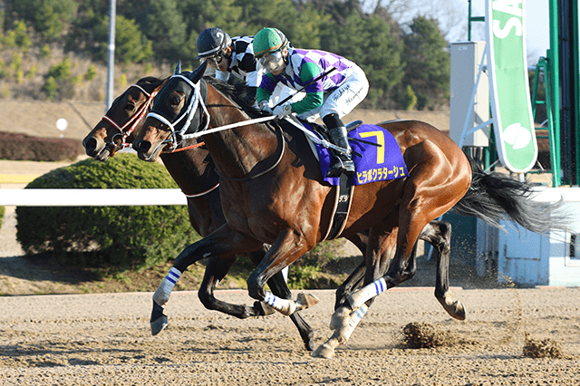 昨年の優勝馬ヒラボクラターシュ 