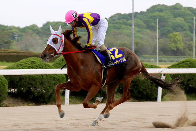 佐賀重賞 佐賀皐月賞 特集ページ おトク情報 楽天競馬
