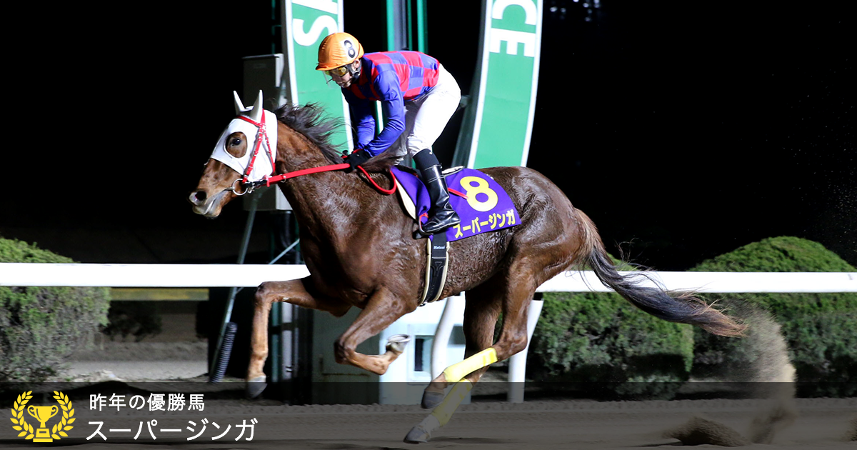 佐賀重賞 花吹雪賞 重賞ページ おトク情報 楽天競馬