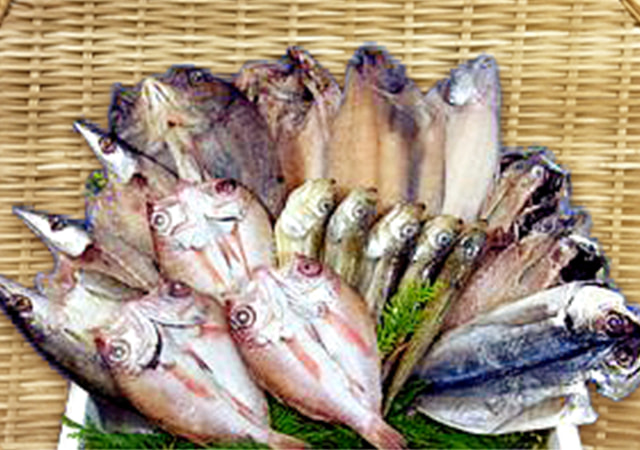日本海鮮魚一夜干セット