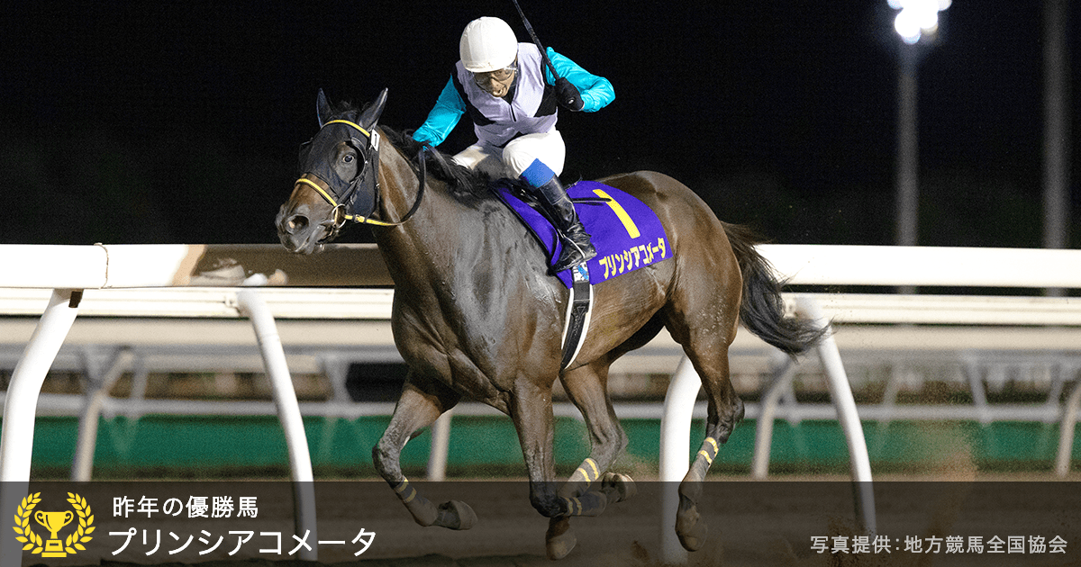 ブリーダーズゴールドカップ Jpniii 21 特集 おトク情報 楽天競馬