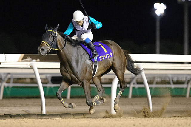 ブリーダーズゴールドカップ Jpniii 21 特集 おトク情報 楽天競馬