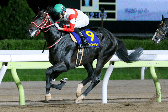 ダートグレード競走 ジャパンダートダービー Jpni 21 おトク情報 楽天競馬 ダートグレード競走 ジャパンダートダービー Jpni 21 おトク情報 楽天競馬