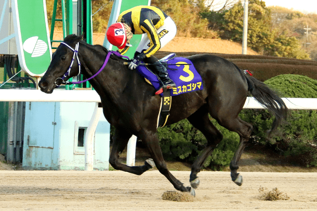 昨年の優勝馬ミスカゴシマ