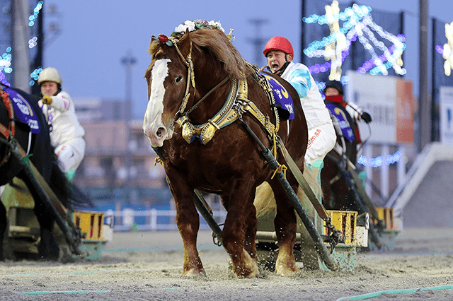 帯広重賞 帯広記念 特集ページ おトク情報 楽天競馬