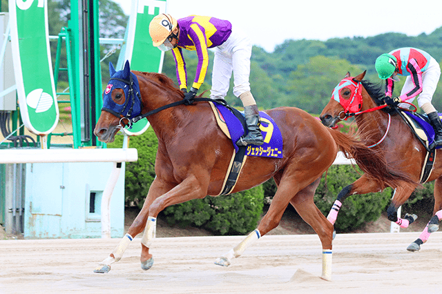 昨年の優勝馬ジェッシージェニー