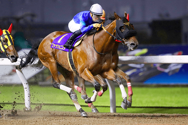 ダートグレード競走 スパーキングレディーカップ Jpniii 21 おトク情報 楽天競馬