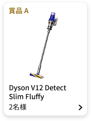 賞品A：Dyson V12 Detect Slim Fluffy 2名様