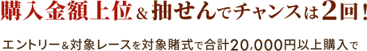 購入金額上位&抽せんで チャンスは2回！ エントリー＆対象レースを対象賭式で 合計20,000円以上購入で