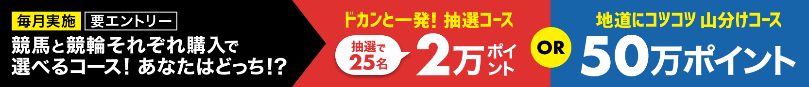 各500円以上購入＆条件達成で選べるコース！「ドカンと一発抽選コース！2万ポイント25名様」「地道にコツコツ山分けコース！50万ポイント山分け」