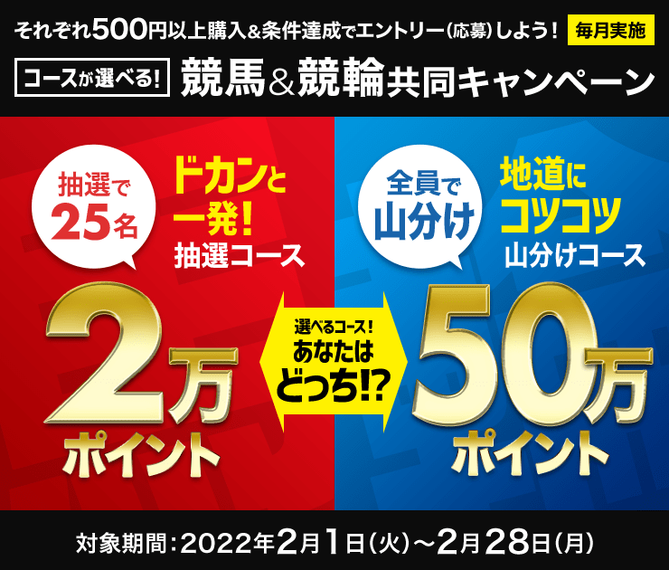 各500円以上購入＆条件達成で選べるコース！「ドカンと一発抽選コース！2万ポイント25名様」「地道にコツコツ山分けコース！50万ポイント山分け」