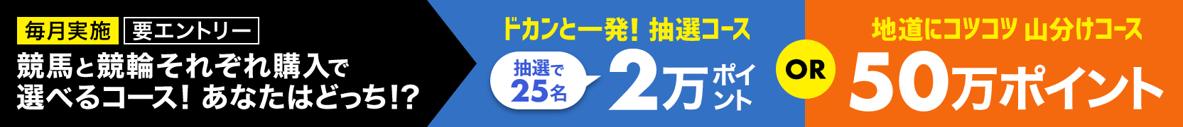 各500円以上購入＆条件達成で選べるコース！「ドカンと一発抽選コース！2万ポイント25名様」「地道にコツコツ山分けコース！50万ポイント山分け」