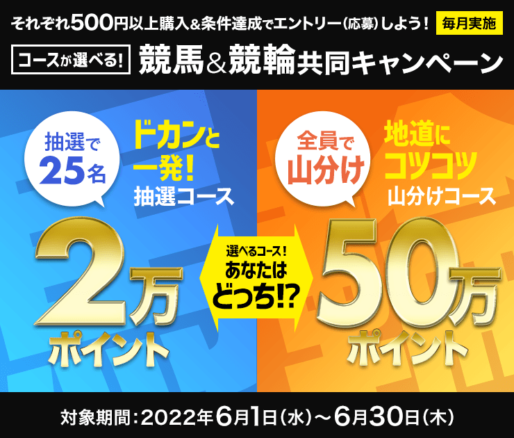 各500円以上購入＆条件達成で選べるコース！「ドカンと一発抽選コース！2万ポイント25名様」「地道にコツコツ山分けコース！50万ポイント山分け」