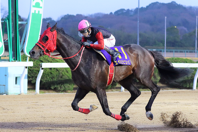 昨年の優勝馬エイシンニシパ