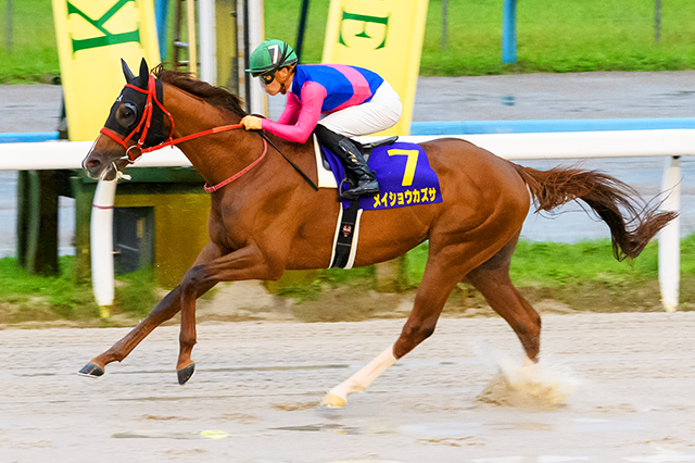 昨年の優勝馬メイショウカズサ