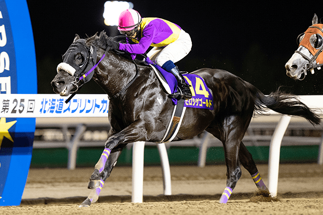 昨年の優勝馬ヒロシゲゴールド