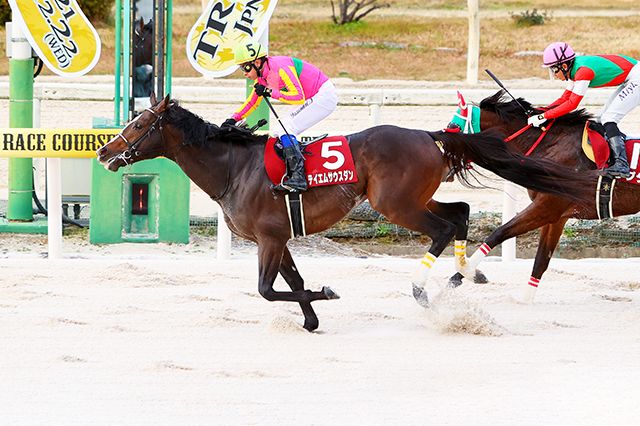 昨年の優勝馬テイエムサウスダン