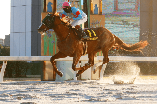 昨年の優勝馬ヴェルテックス