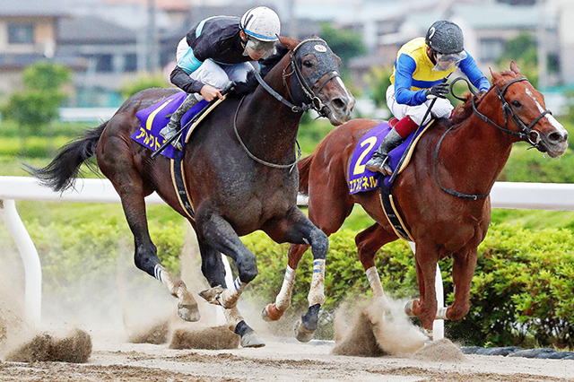 昨年の優勝馬アルクトス