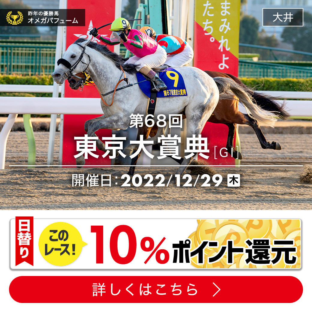 東京大賞典 開催日 大井競馬場 ☆指定席ペアチケット☆ 三階 スターシート 12/29 - 興行チケット