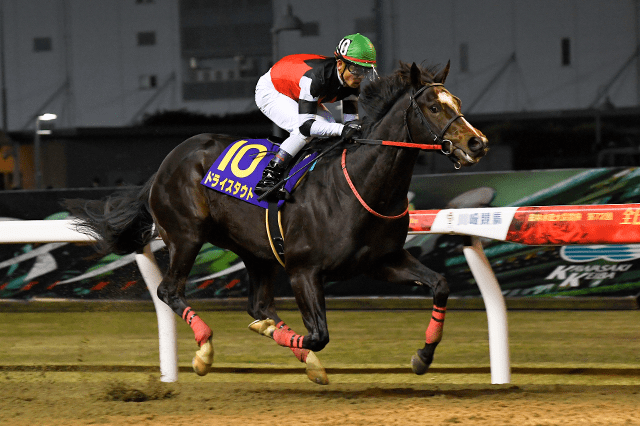 昨年の優勝馬ドライスタウト