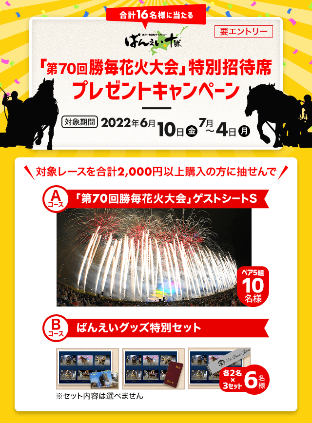 勝毎花火大会2022ゲストシートA西側2エリアペアチケット - イベント