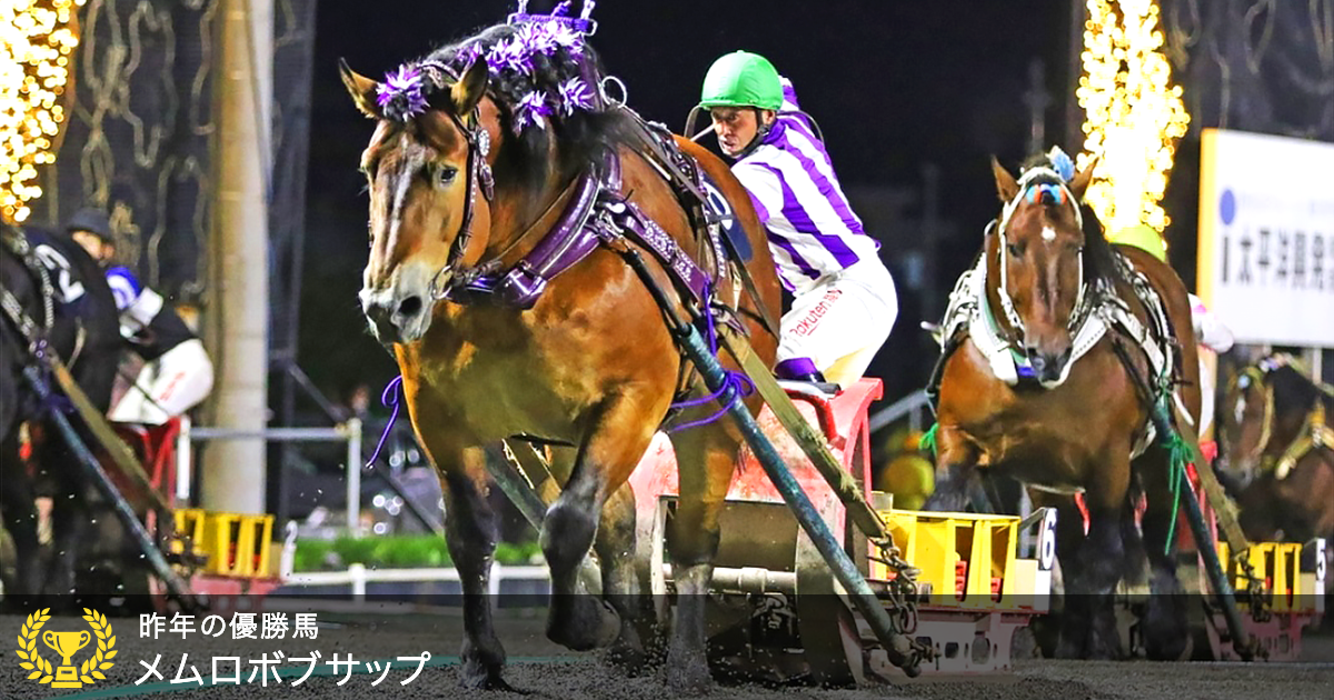 ばんえいグランプリ 2023｜特集:おトク情報:楽天競馬