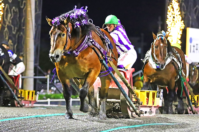 昨年の優勝馬メムロボブサップ