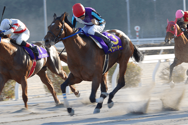 昨年の優勝馬イグナイター